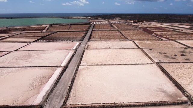 Explore the unique salt pans of Lanzarote. Observe the layout and structure of the salina, with the ocean and landscape in the background