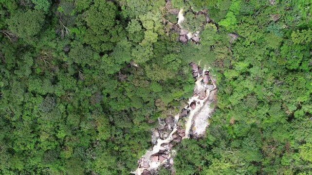 Top down aerial drone footage flying above a lush forest while following a river flowing through dense vegetation and rocky terrain before reaching a scenic waterfall in Cerro Blanco, Aguascalientes,