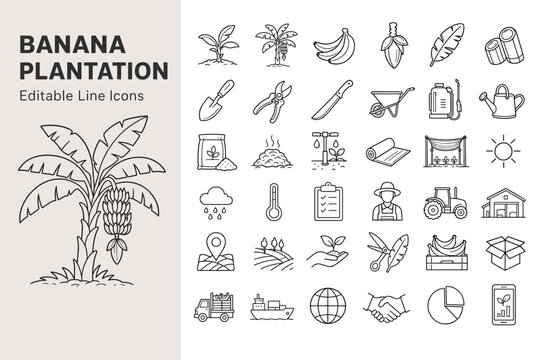 Banana plantation and farming line icons with agriculture tools, banana trees, harvesting equipment, and tropical fruit cultivation
