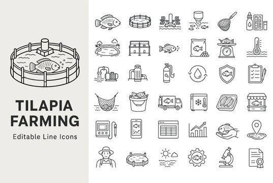 Tilapia farming line icons set representing aquaculture, fish breeding, pond cultivation, and seafood production equipment