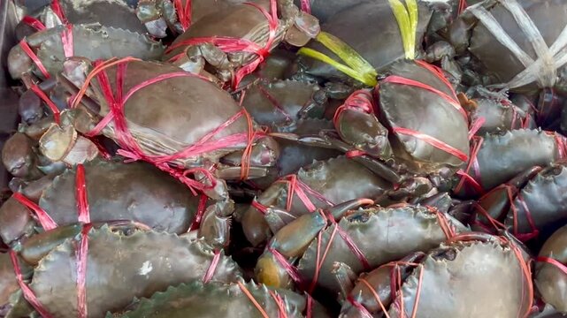 Fresh crabs at seafood market