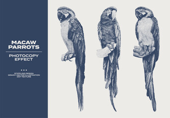 Obraz premium Vintage set of macaw parrots with grunge stippling effect. Retro dotted texture illustrations of Ara parrots sitting on a branch. Photocopy grainy art with tropical birds in halftone tones