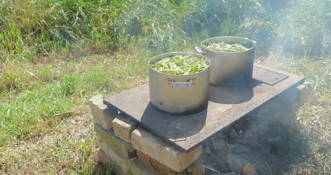 Fresh green peas in pods being cooked outdoors over an open wood fire in a traditional rural environment