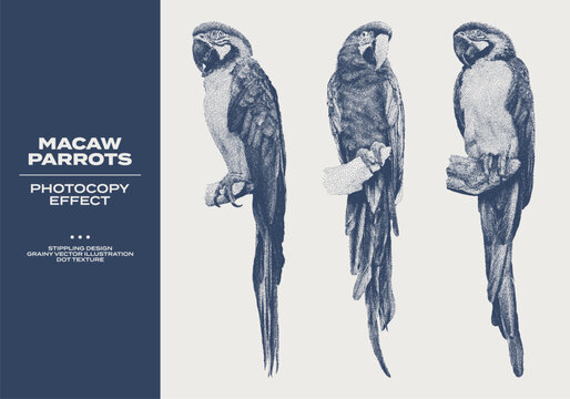 Vintage set of macaw parrots with grunge stippling effect. Retro dotted texture illustrations of Ara parrots sitting on a branch. Photocopy grainy art with tropical birds in halftone tones
