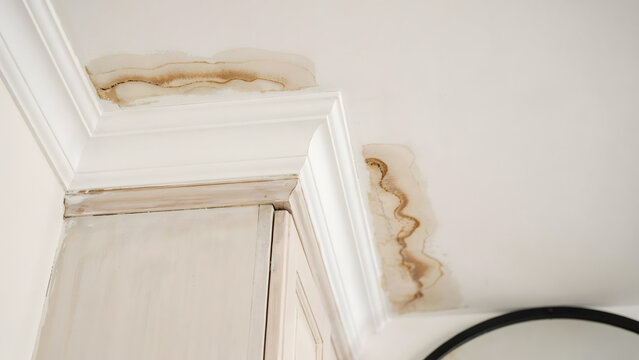 Water damage stains on a residential ceiling near crown molding