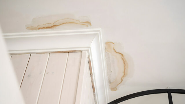Water damage stains on a white ceiling near a wooden door frame
