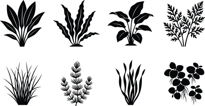 Set of black silhouette aquatic plants and water weeds