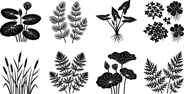 Set of black aquatic plants and pond water weeds icons