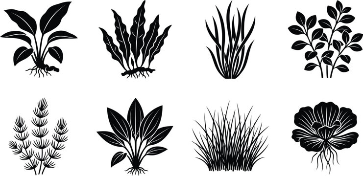 Set of black aquarium plant icons and water weeds