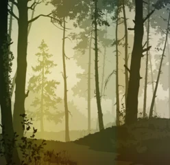 Vector illustration - forest with different plants and trees © kozerog2015
