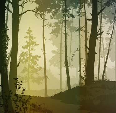 Vector illustration - forest with different plants and trees