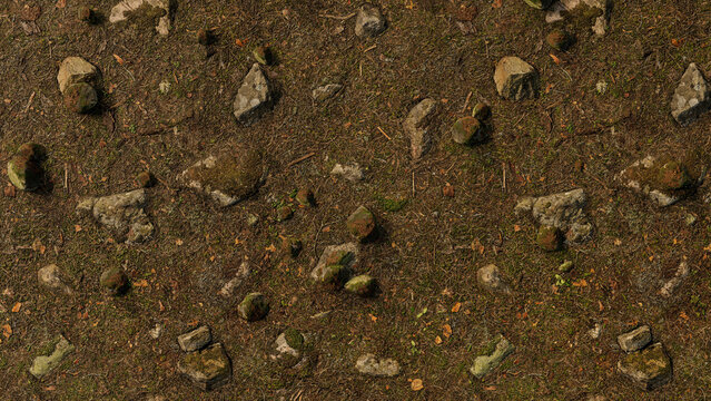Forest ground texture with rocks, moss, dry needles and natural woodland floor. Top view nature surface background.