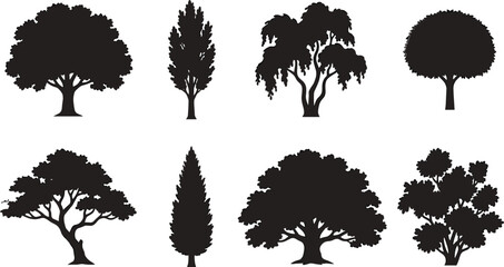 Tree Silhouette Collection with Deciduous Cypress and Ornamental Landscape Trees © Biplob Creators