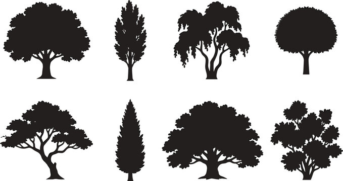 Tree Silhouette Collection with Deciduous Cypress and Ornamental Landscape Trees