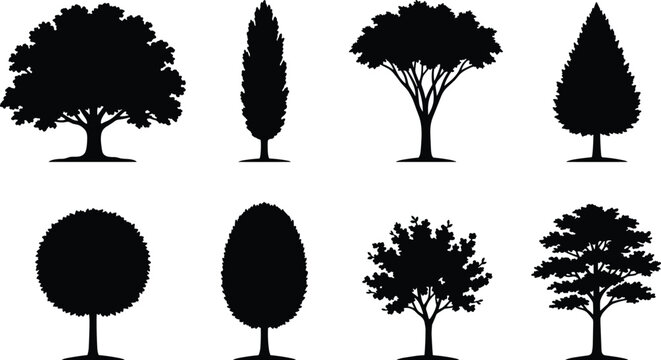 Tree Silhouette Collection with Deciduous Ornamental and Landscape Vector Trees