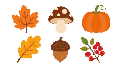 Autumn nature icon set with leaves, mushroom, pumpkin and acorn © Alan