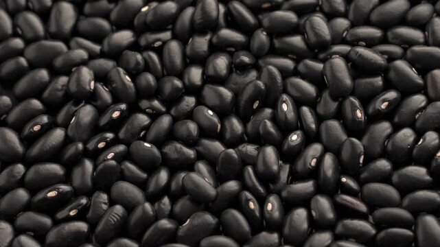 Full-screen image of Brazilian black beans rotating slowly.