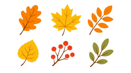 Autumn leaf and berry branch collection in flat vector style © Alan