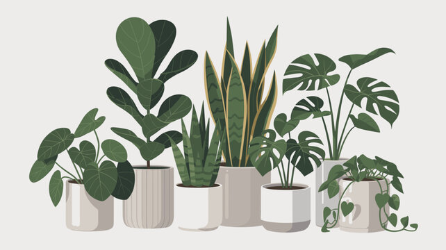 Collection of various indoor house plants in different ceramic pots, including fiddle leaf fig and snake plants for home decor and interior design concepts.