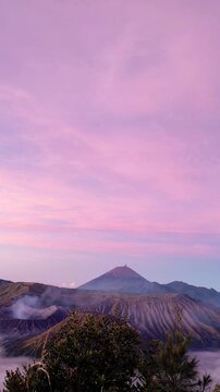 Vertical panning shot of Mount Bromo crater and Mount Semeru at sunrise with sea of clouds and tall grass foreground