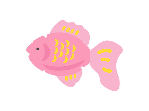 ピンク色の金魚　イラスト