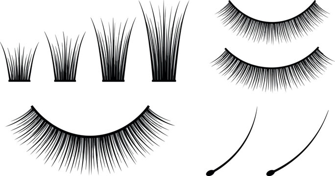 False Eyelash Extension Cluster Set with Individual Lashes Fans Single Strands and Voluminous Strip Eyelash Silhouettes for Beauty Salon Graphic Designs
