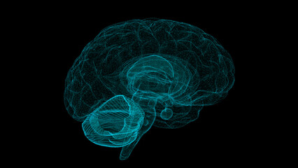 Digital brain structure line hologram science scan creativity virtual © JOJO.FN&CO.COM