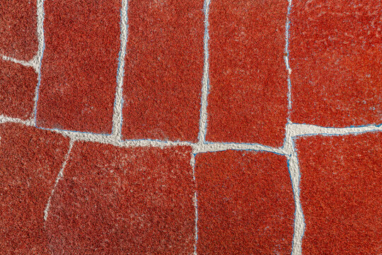 Aerial view of red chili peppers drying in rectangular patches separated by white lines on the ground in Bogura, Rajshahi Division, Bangladesh.