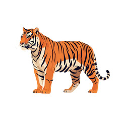 Obraz premium Tiger standing in profile view.
