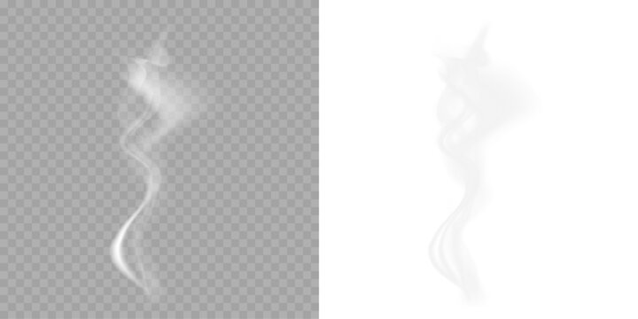 Realistic white smoke effects PNG on dark background. Set of transparent smoke or steam in white and gray colors. Special effect of steam, fog, clouds for restaurant menu background.