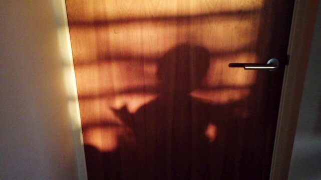 Slow motion silhouette of a child moving playfully in front of a sunlit door. Warm backlight creates a dramatic shadow scene, capturing imagination, motion, and childhood wonder.