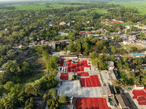 Aerial view of vibrant red chili peppers drying on large mats in a rural village surrounded by lush green trees and agricultural fields in Bogura, Rajshahi Division, Bangladesh.