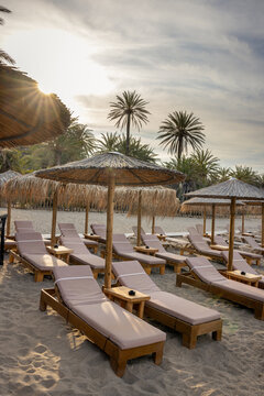 Empty Sunbeds and parasols in front of palm trees on the beach Vai in north eastern Crete island, Greece. Lens flare with direct light at sunset.