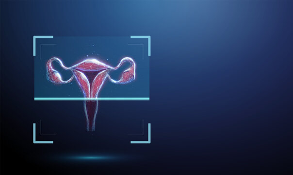 3D blue uterus in frame. Reproductive health, gynecology, fertility, women wellness, prenatal care, hormonal balance, anatomy, organ, maternity, biology concept