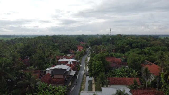 Drone view of a rural village road surrounded by tropical trees and residential houses