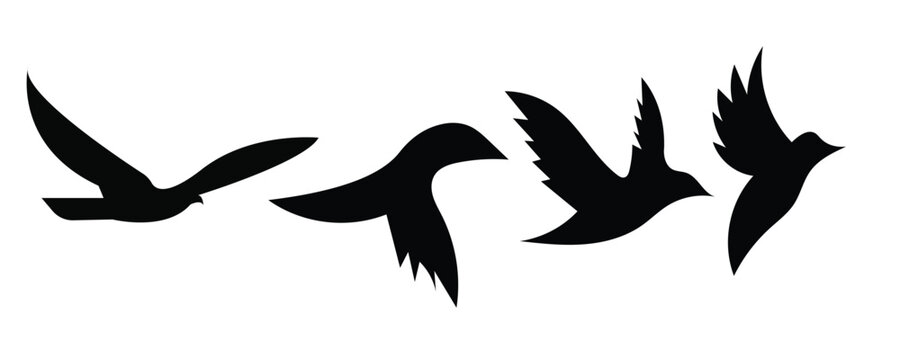 Black flying birds silhouette set isolated on white background. Minimalist flock of wild freedom birds wings animation frames vector illustration.