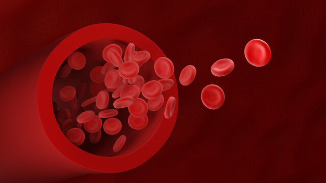 Red blood cells. Erythrocytes. 3d illustration.