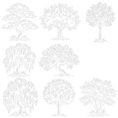 Fototapeta premium Minimalist tree line art collection, set of 8 hand drawn botanical sketches, black and white nature vector illustrations for landscape design