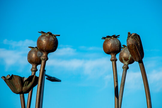 Poppy Seed Head Statue in Tasmania