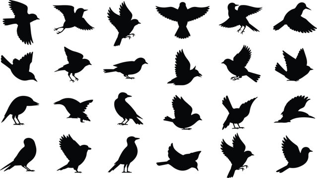 Collection of Black Bird Silhouettes in Various Flying and Perching Poses wing