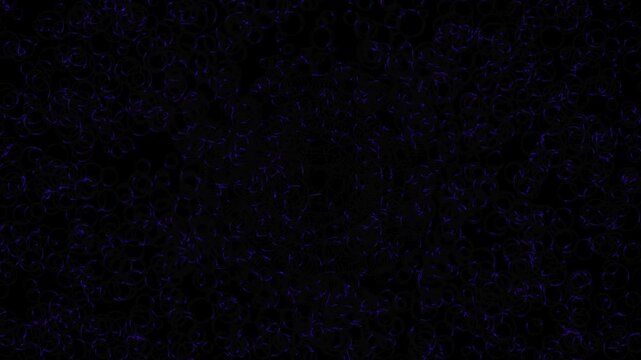 Abstract Dark Blue Glowing Curled Lines And Wriggling Microscopic Curves Flowing On Black Background