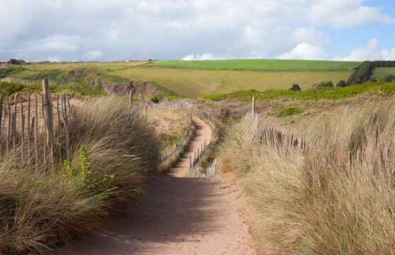 Path through sand dunes, Devon, England
