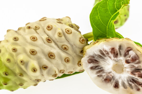 Nono, Noni , morinda citrifolia 