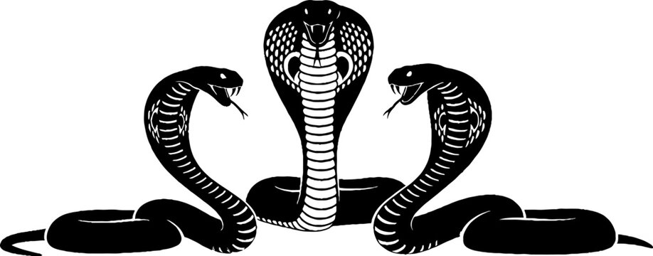 Three Cobra Snakes Intertwined in Symmetrical Design.