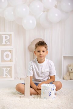 Beautiful adorable preschool boy with a pet dog in a studio., celebrating