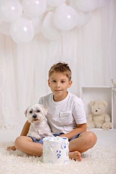 Beautiful adorable preschool boy with a pet dog in a studio., celebrating