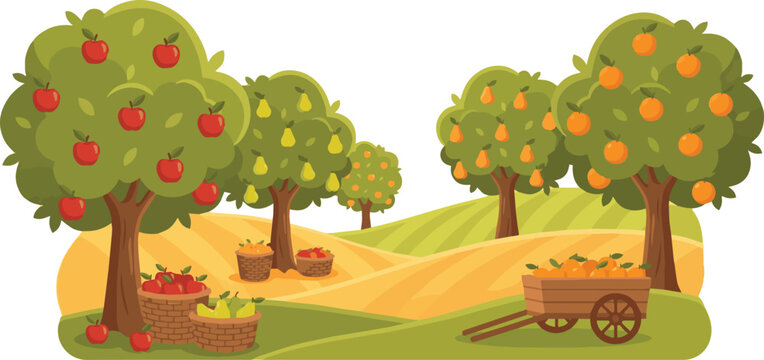 Isolated on Landscape with different fruit trees and berry shrubs with ripe fruits on the branches. Harvest time vector art on white background
