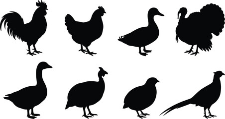 Obraz premium Farm Bird Silhouette Collection Featuring Poultry Waterfowl and Game Bird Species