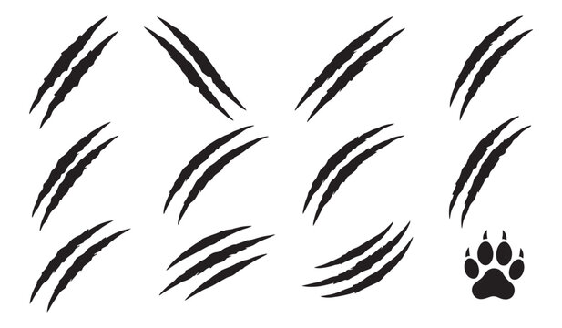 Animal claw marks scratch rips bear paw print slash effect vector design