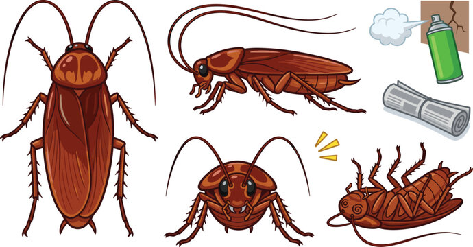 Cockroach Insect Pest Icon Set with Top Side and Front Views Dead Bug Spray Can and Rolled Newspaper Vector Illustration